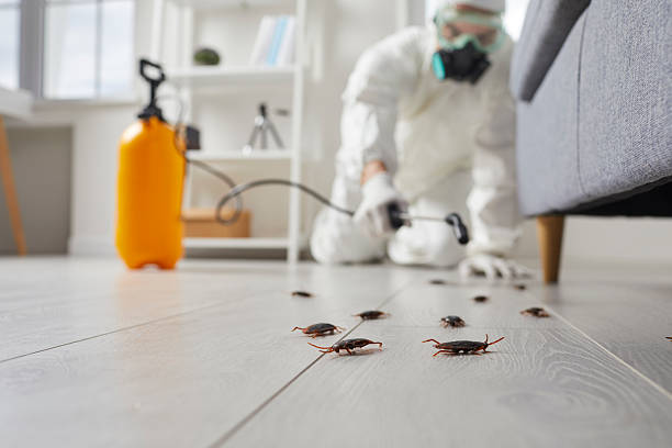 Commercial Kitchen Cockroach Control in Richville